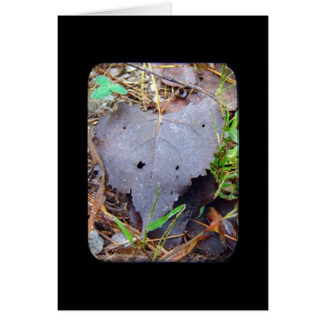 Cartão Folha (Frente)