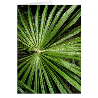 Cartão Folha astral