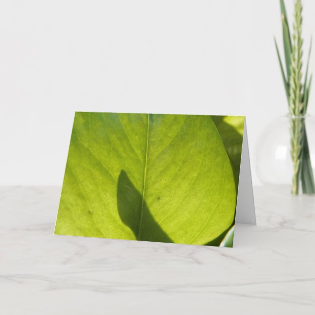 Cartão Folha de Flora de Taiwan (Frente)