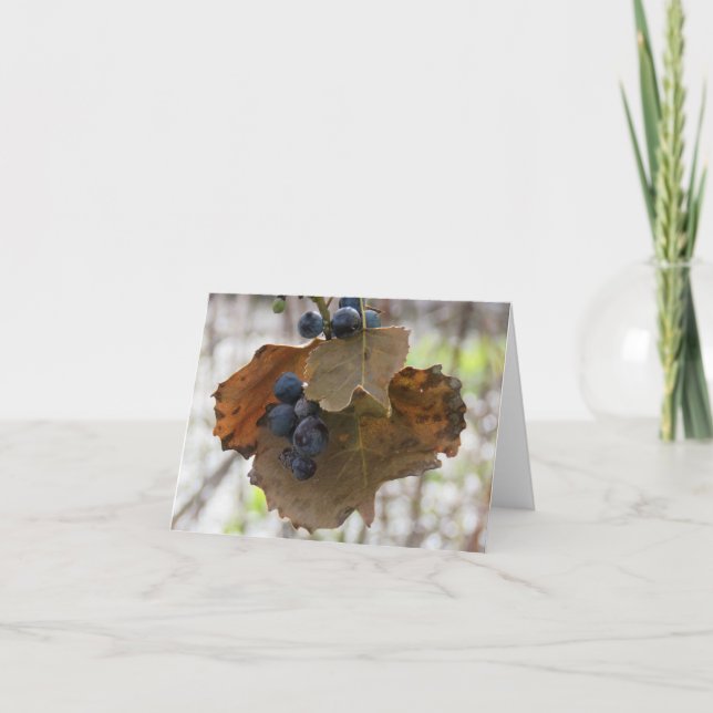 Cartão Folha e Berrys de Azul - Cartão-Saudação de Vazio (Frente)