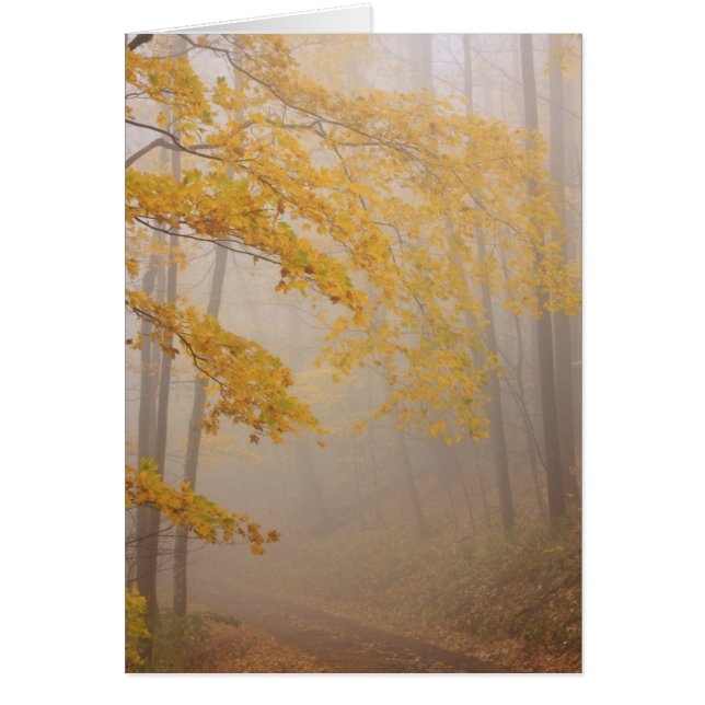 Cartão Folhagem de Fog e Outono, Montanhas de Enfumaçados (Frente)