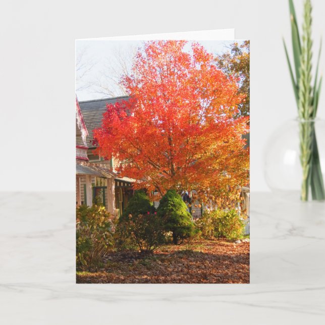 Cartão Folhagem de outono em Oak Bluffs - Vineyard de Mar (Frente)