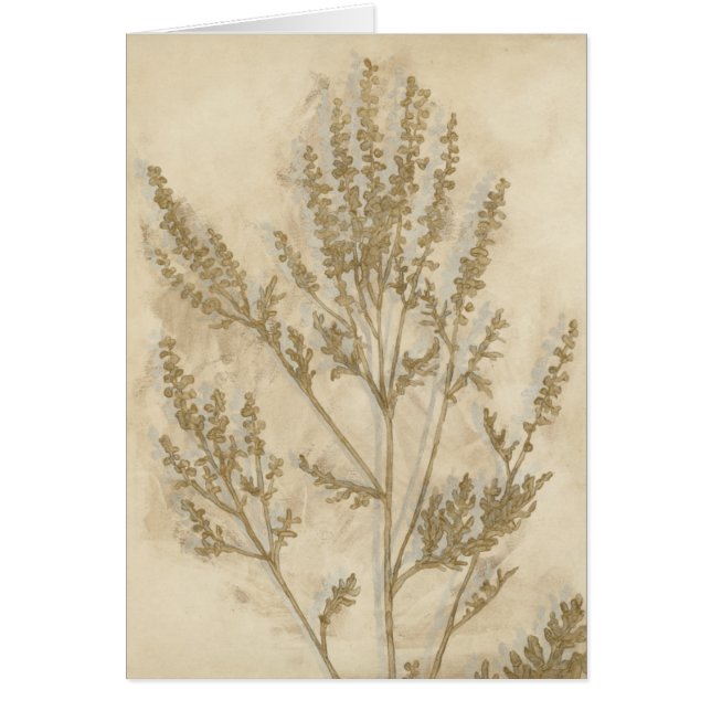 Cartão Folhagem II (Frente)