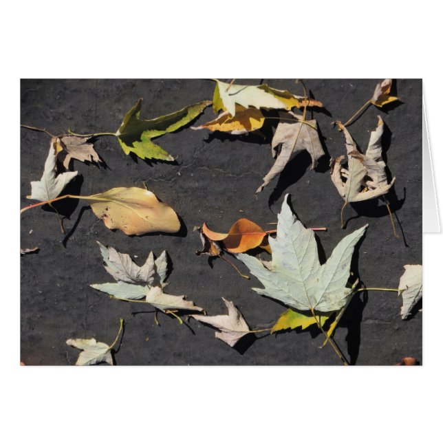 Cartão Folhas 1 da queda (Frente Horizontal)