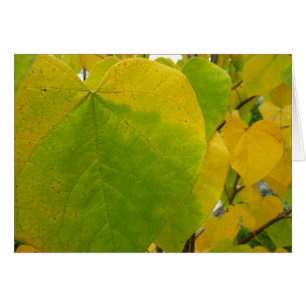 Cartão Folhas amarelas e verdes de Redbud