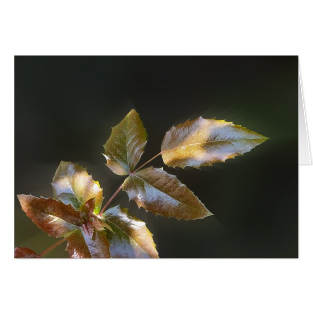 Cartão folhas brilhantes (Frente Horizontal)