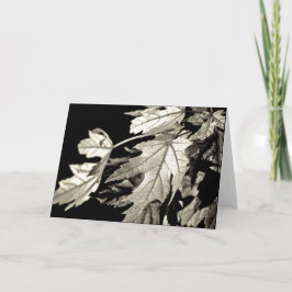 Cartão Folhas [Cartão de Saudação]