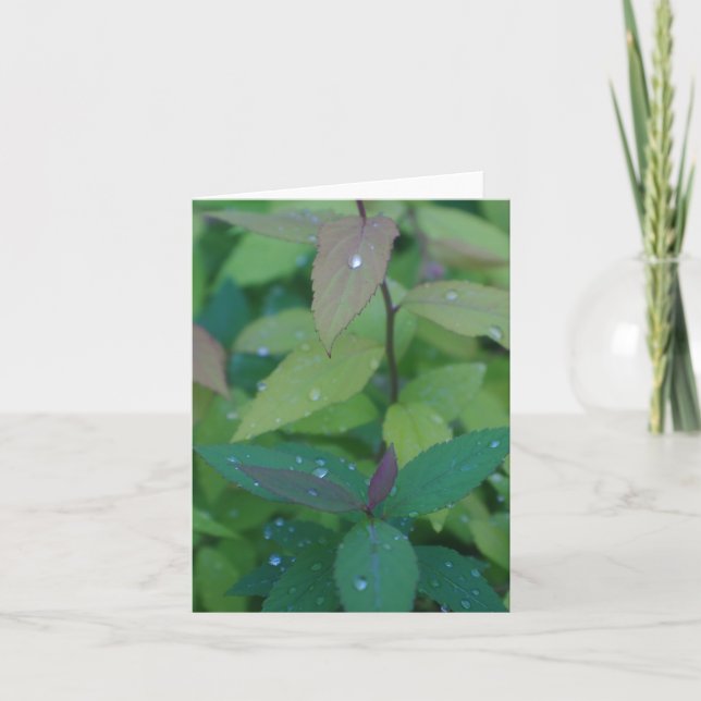 Cartão Folhas com Modo de mastigação (Frente)