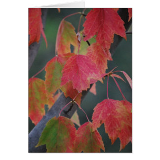 Cartão Folhas da queda