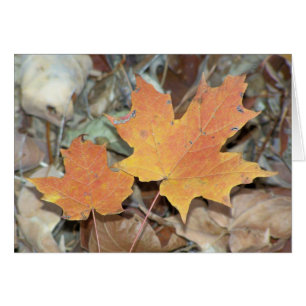 Cartão Folhas da queda