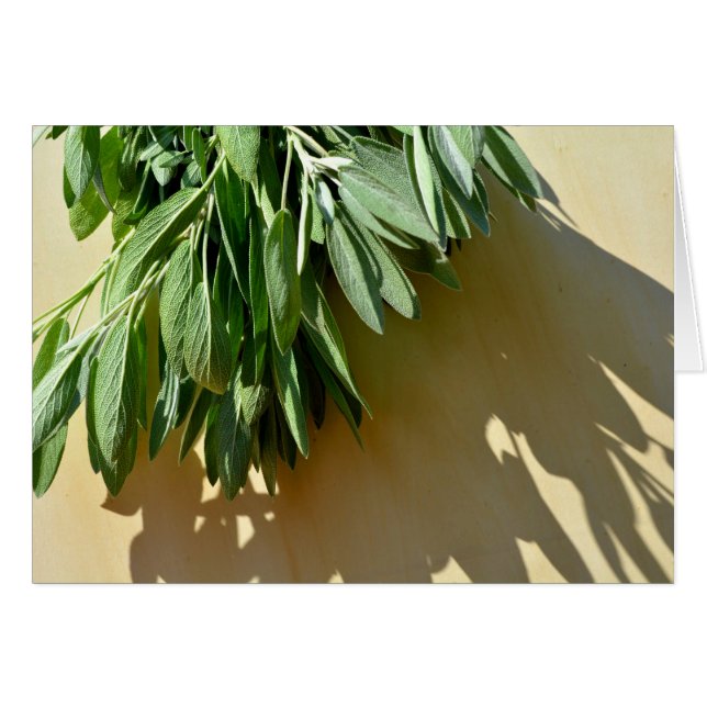 Cartão Folhas de ervas verdes e botânicas elegantes (Frente Horizontal)