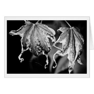 Cartão folhas de frango