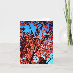 Cartão Folhas de outono