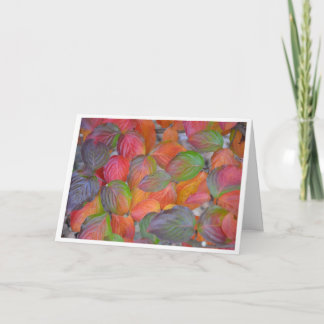 Cartão Folhas de outono