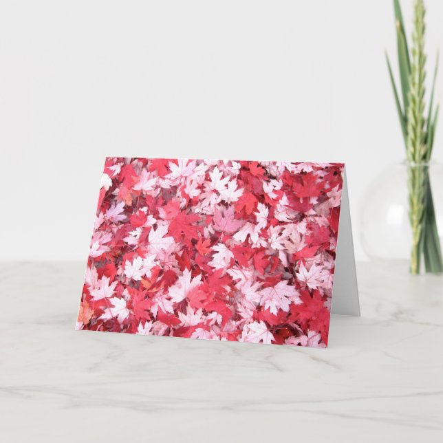 Cartão Folhas de outono (Frente)