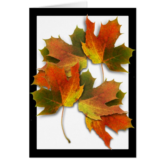 Cartão Folhas De Outono De Laranja E Ouro (Frente)