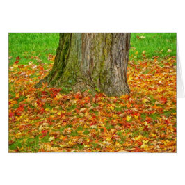Cartão Folhas de outono em torno da árvore