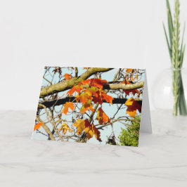 Cartão Folhas de Outono Lindas Bênçãos de Outono