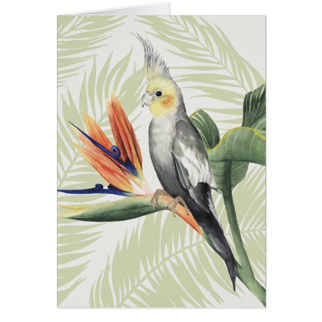 Cartão Folhas de Palma com Pássaro Negro (Frente)