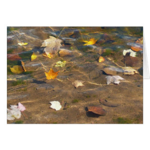 Cartão Folhas de queda na fotografia natural de água doce