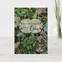 Folhas de Simpatia de Gato e Colagem de Gatos