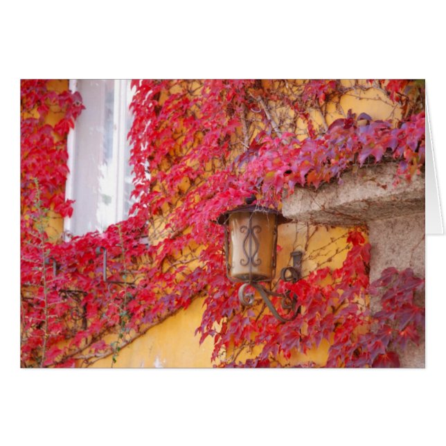 Cartão Folhas do vermelho (Frente Horizontal)