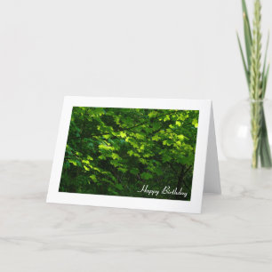 Cartão Folhas em Primavera