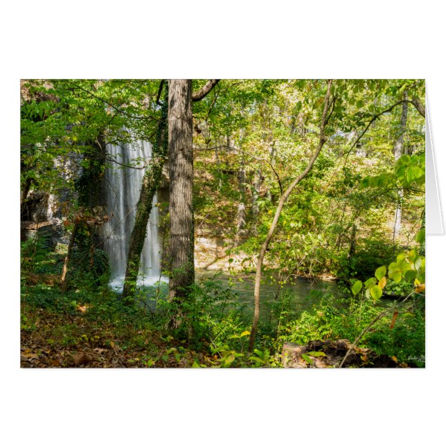 Cartão Folhas ocultas (Frente horizontal)