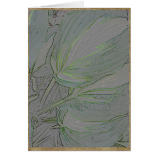 Cartão Folhas Variegated do hosta