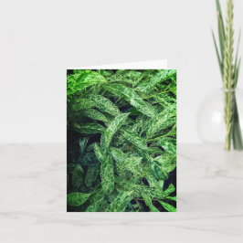 Cartão Folhas verdes