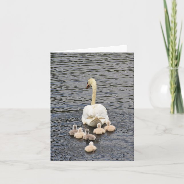 Cartão Follow (Mute swan cygnets #4) - Blank Note Card (Frente)