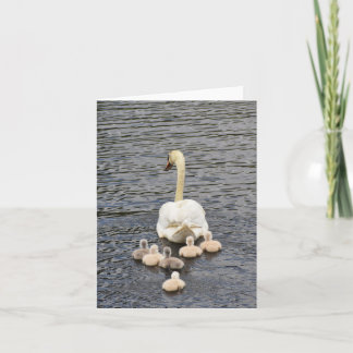 Cartão Follow (Mute swan cygnets #4) - Blank Note Card