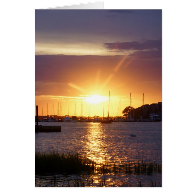 Cartão Folly River Sunrays (Frente)