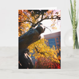 Cartão Fonte de Cavalo de Kansas City Plaza no outono