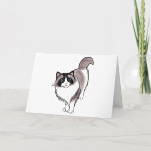 Cartão FooFooCat: Ragdoll Sassy
