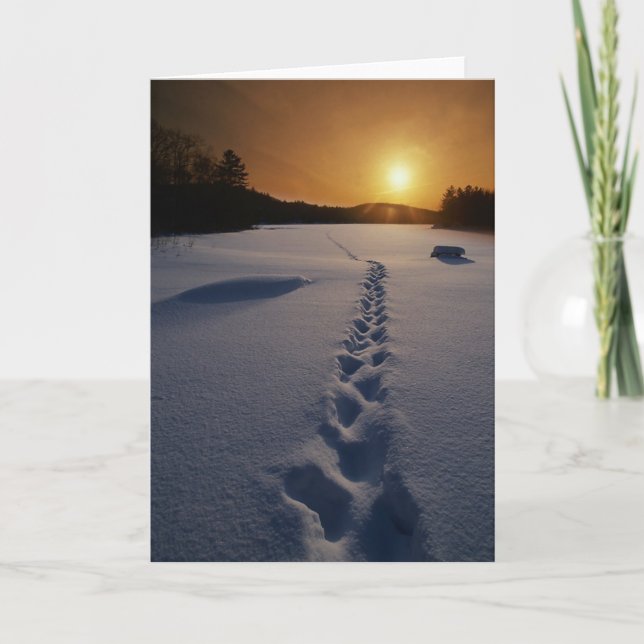 Cartão Footprints In the Snow blank note card (Frente)
