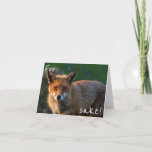 Cartão For Fox Sake. It's Your Birthday Again?<br><div class="desc">A very funny, yet beautiful birthday card featuring a close up of a wild fox during sunset in a national park in Australia. Your recipient will love this birthday card and it'll put a big smile on their face! And of course you can customize / personalize the card to your...</div>