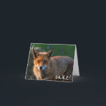 Cartão For Fox Sake. It's Your Birthday Again?<br><div class="desc">A very funny, yet beautiful birthday card featuring a close up of a wild fox during sunset in a national park in Australia. Your recipient will love this birthday card and it'll put a big smile on their face! And of course you can customize / personalize the card to your...</div>