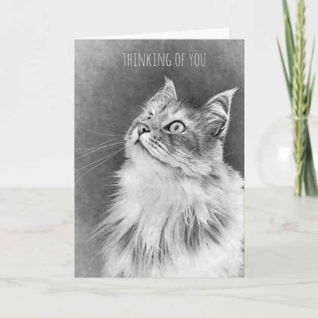 Cartão For the Loss of a Pet Cat (card) (Frente)