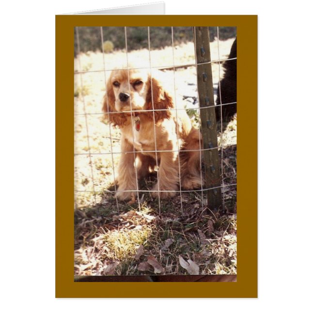 Cartão fora da lei pequeno (Frente)