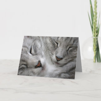 Cartão Forest cat birthday card