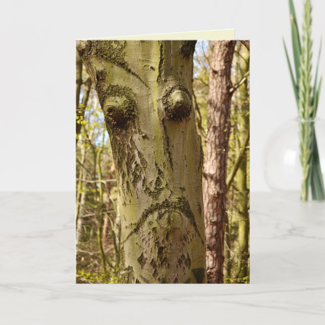 Cartão forest ent greeting card (Frente)