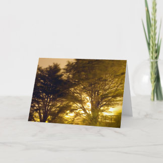 Cartão forest of the furies