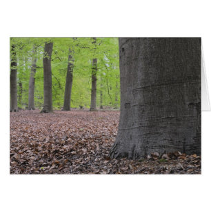 Cartão Forest, Países Baixos