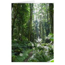 Cartão Forest Walk