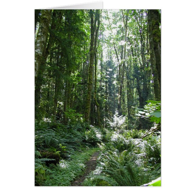 Cartão Forest Walk (Frente)