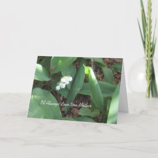 Cartão Forever Love Mother's Day Card