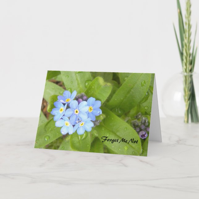 Cartão Forget Me Not Greeting Card (Frente)