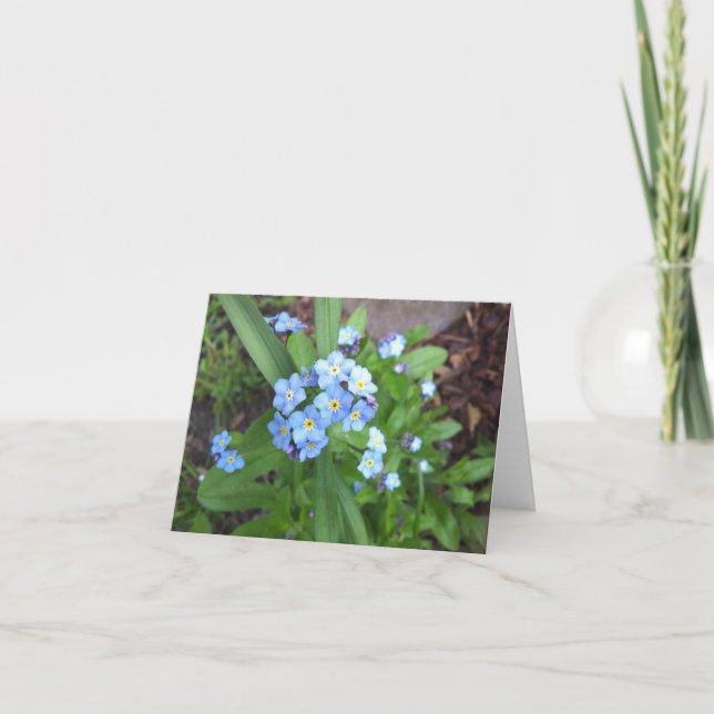 Cartão Forget Me Not Note Card (Frente)