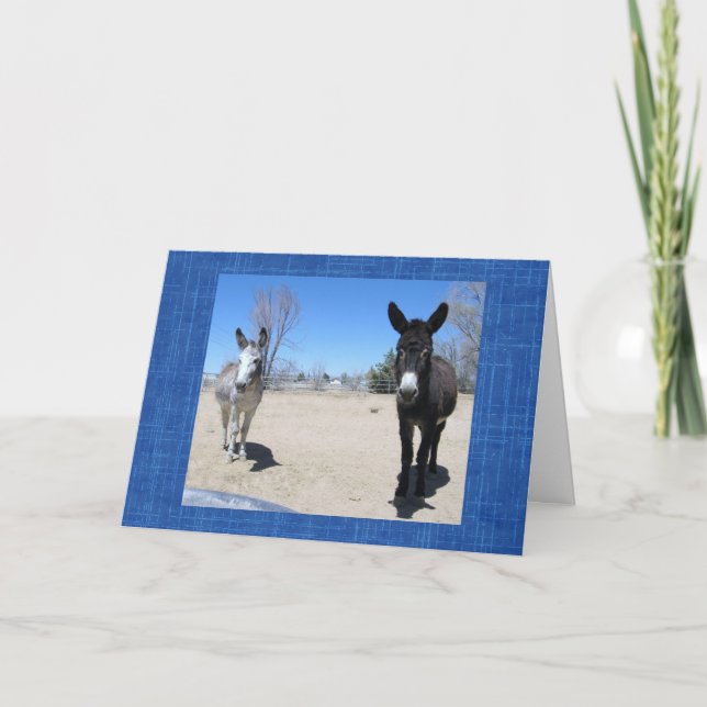 Cartão Formando de Escola de Vet Cortês Fazenda de Ranhur (Frente)